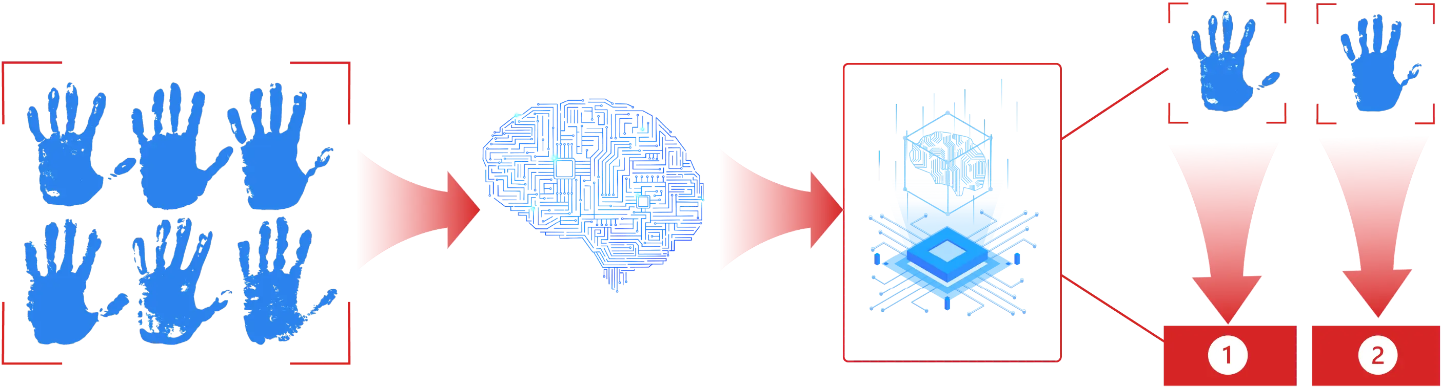 Palm Vein Authentication Flow